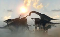 Les dinosaures étaient déjà sur le déclin avant la chute de l'astéroïde