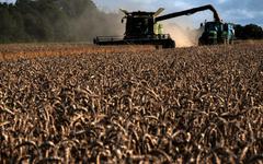 Importations en hausse et production en baisse : un rapport alerte sur l'état de l'agriculture en France