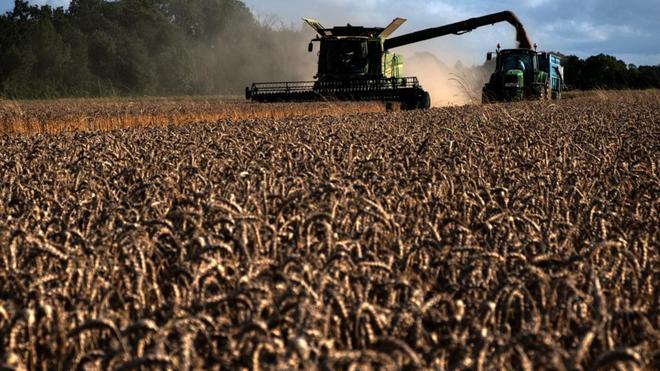 Importations en hausse et production en baisse : un rapport alerte sur l'état de l'agriculture en France