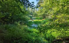 La réserve naturelle de la forêt d’Offendorf