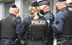 Toulouse et Albi : six femmes proches du clan du terroriste Mohammed Merah arrêtées