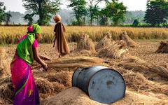 Agriculture en Afrique : les femmes sortent de l'ombre