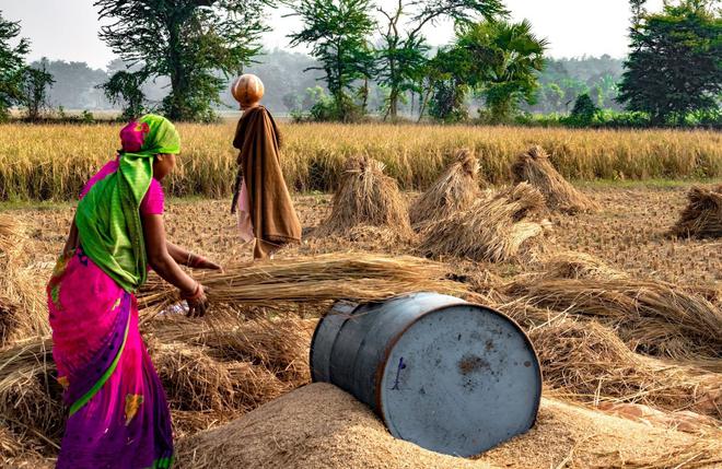 Agriculture en Afrique : les femmes sortent de l'ombre