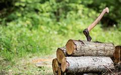 A-t-on le droit de couper son bois de chauffage en forêt ?