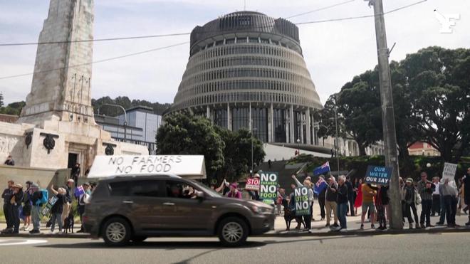 Nouvelle-Zélande: manifestations contre un projet de taxation des pets de vache