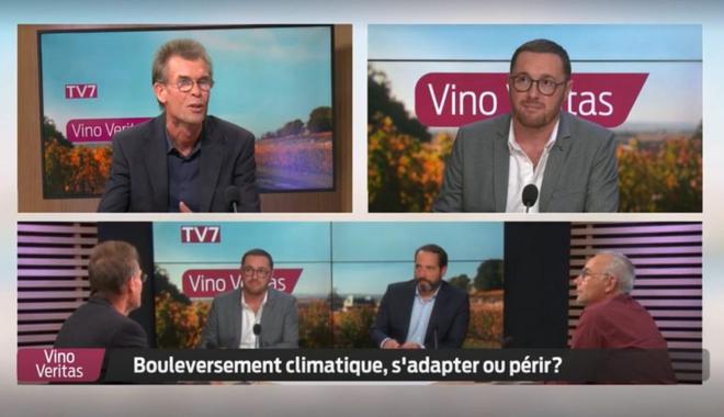 [REPLAY] « Vino Veritas » : la filière vin face au changement climatique