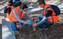 World cleanup day : l'Occitanie reste la région qui a le plus collecté de déchets en France