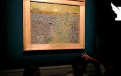 À Rome, un Van Gogh aspergé de soupe aux pois au palais Bonaparte