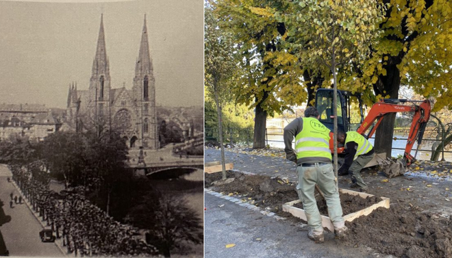 Strasbourg : quelle est l’histoire du quai Koch, où 35 arbres vont bientôt être plantés ?