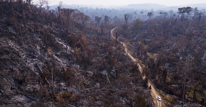 Malgré les promesses, Carrefour contribue toujours à la déforestation en Amazonie