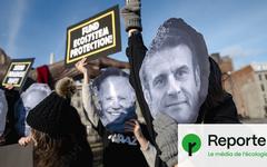 Biodiversité : à la COP15, la France freine toute avancée