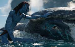 Les coulisses d’Avatar 2 sont-elles aussi écolos que le film ?