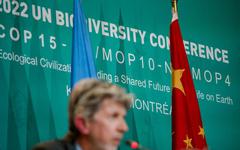 COP15 de Montréal : ce que contient l’accord historique pour la biodiversité
