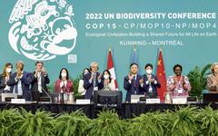 COP15 : un accord ambitieux au forceps