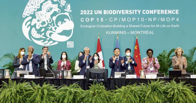 COP15 : un accord ambitieux au forceps