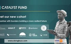 Changement climatique : Le Fonds Catalyst investit 2 millions de dollars dans 10 startups africaines