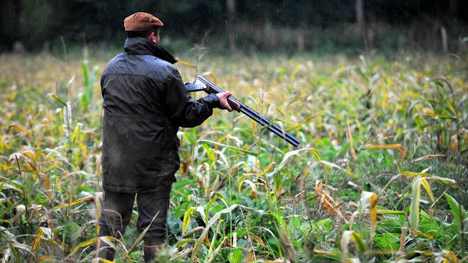 2,8 millions d’euros en 2022: les chasseurs du Loiret débordés par le coût des indemnisations aux agriculteurs