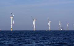 Les écologistes préfèrent-ils les éoliennes en mer aux baleines ?