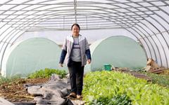 De consultante informatique à maraîchère, le parcours du combattant de Kaiping, agricultrice en herbe