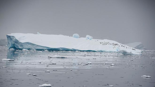 Le record de fonte de la banquise de l’Antarctique confirmé par Copernicus