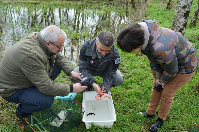 Assises de l’eau : les mares, ces précieux écosystèmes