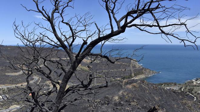 Après cinq jours de lutte, le "feu d'été" des Pyrénées-Orientales enfin éteint