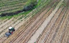 Agriculture : trois semaines pour rejoindre le réseau "Groupe 30 000" en Occitanie et cultiver sans pesticides