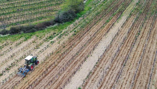 Agriculture : trois semaines pour rejoindre le réseau "Groupe 30 000" en Occitanie et cultiver sans pesticides