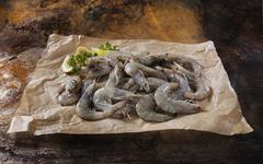 Près de Nantes, des gambas produites localement dans le respect de l’environnement