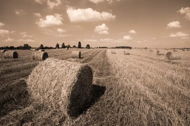 Collectif Nourrir : L’utopie du million d’agriculteurs en 2050