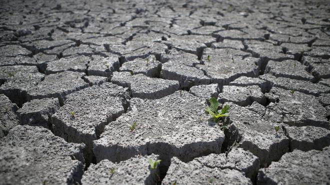 CARTE - Sécheresse : quels sont les départements déjà touchés par des restrictions d'eau ?