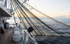 Pêche au thon dans l'océan Indien : Bloom dépose des recours contre l'Union européenne et la France