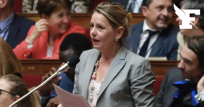 Détournement de frais de mandat : l'ex-députée Anne-Christine Lang condamnée à 60.000 euros d'amende