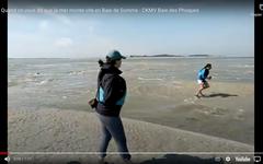 Une video de la marée en Baie de Somme cartonne sur le web