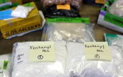 Douanes et drogues : le gouvernement veut éviter les «ravages» du fentanyl