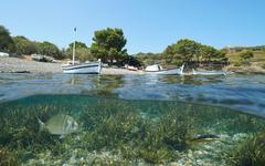 Vous louez un bateau cet été ? Nos conseils pour avoir moins d'impact sur la nature