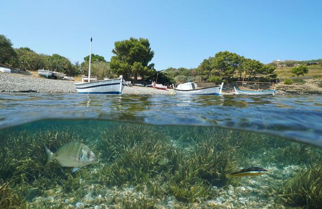 Vous louez un bateau cet été ? Nos conseils pour avoir moins d'impact sur la nature