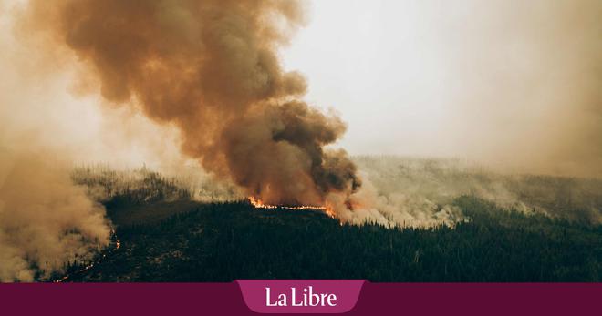 Record pulvérisé : les feux de forêts ont dévasté plus de 8 millions d’hectares au Canada (INFOGRAPHIE)