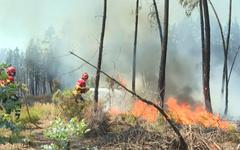 VIDÉO - Portugal : plusieurs milliers d'hectares ravagés par les flammes