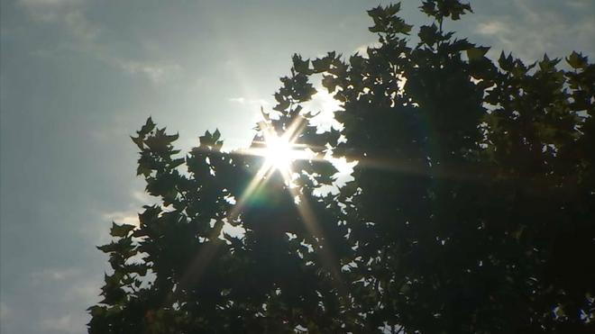 Canicule tardive : de 35 à 42°C attendus dès ce week-end, ce qui vous attend jusqu'à la semaine prochaine