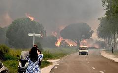 VIDÉO - Pyrénées-Orientales : un violent incendie fixé près d'Argelès-sur-Mer, plus de 3000 personnes évacuées