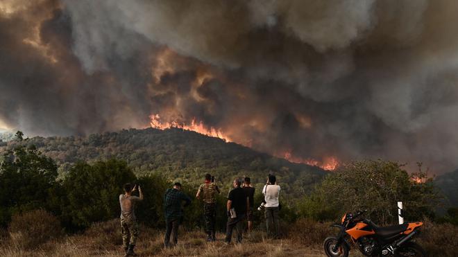 La Grèce face au "plus grand incendie jamais enregistré" en Europe, Paris envoie des moyens aériens