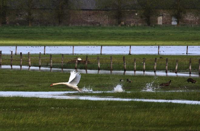 Sougéal près de Pontorson. La réserve naturelle du Marais est une idée de randonnée