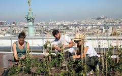 Paris Rooftop Days 2023 : à la découverte du potentiel des toits