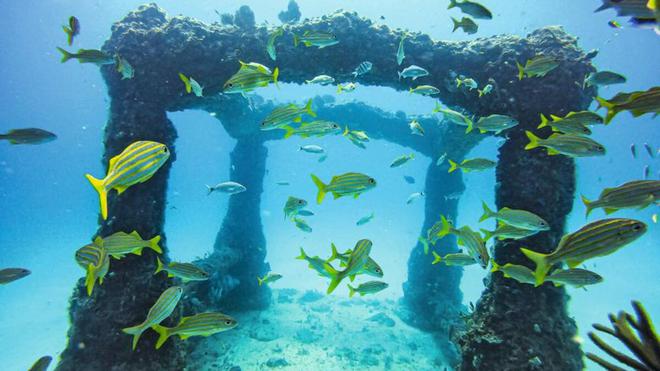 En Floride, voyage dans un cimetière sous-marin unique au monde qui vient au secours de la biodiversité
