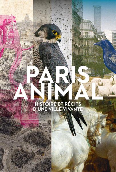 Animaux et architecture : décentrer le regard sur Paris