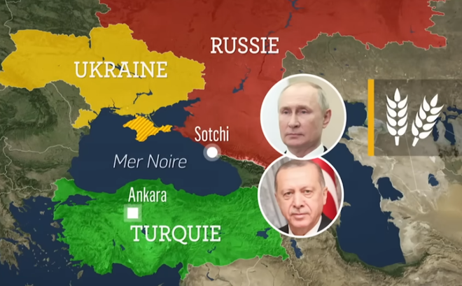 Exportations de céréales ukrainiennes : Erdogan en Russie pour tenter de convaincre Poutine