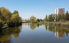 Point sur les TRAVAUX DE RESTAURATION DU BASSIN DU BOIS DE BRIIS