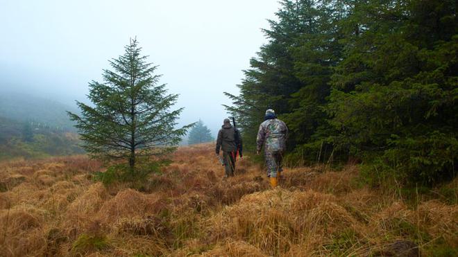 Loup : les chasseurs européens saluent le changement de cap de la Commission