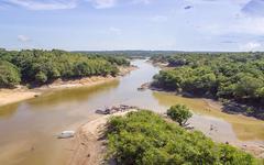 Quand le fleuve Amazone ne coule plus : des images bouleversantes de la catastrophe écologique qui se joue